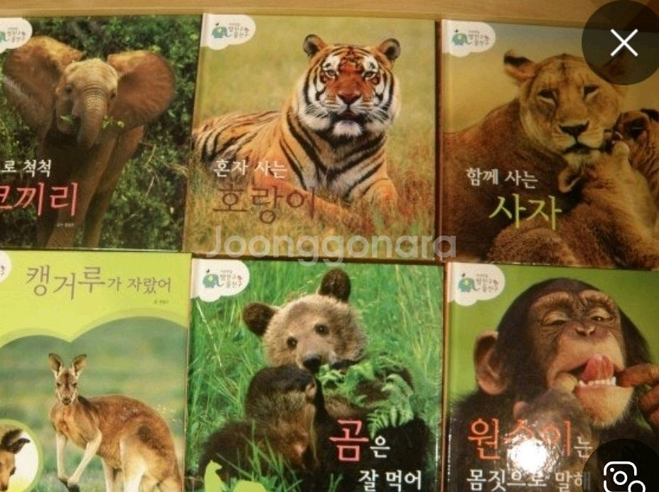웅진 자연관찰 땅친구물친구--1