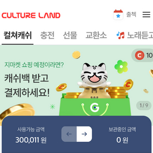 컬쳐캐쉬 30만원