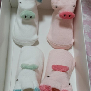 아기 돼지 디자인 양말 세트