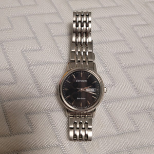 시티즌 에코드라이브 29mm