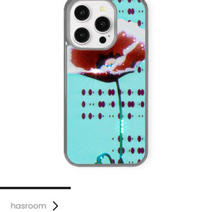 하스룸 폰케이스 16pro
