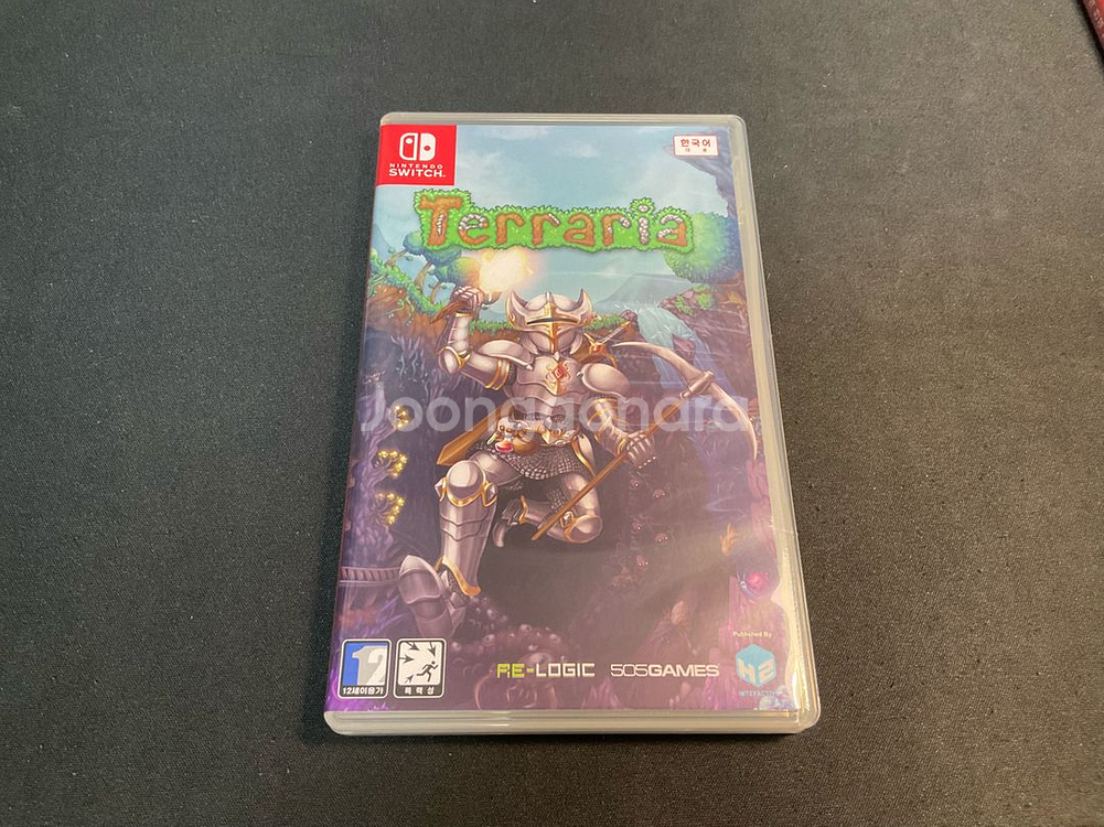 테라리아 닌텐도스위치--0
