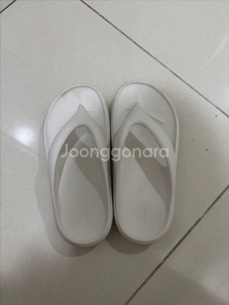 쪼리--1