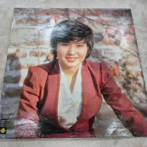 윤지수 LP판