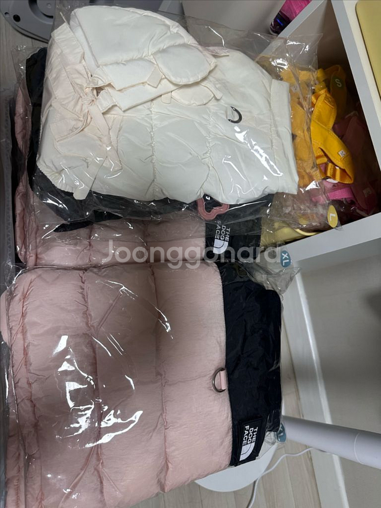강아지옷 + 용품 재고 정리 일괄 판매--2