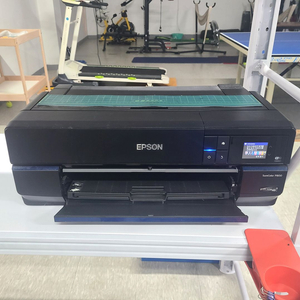 앱손 EPSON SureColor P800 전사프린터
