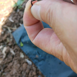 중층 내림낚시대 이미지