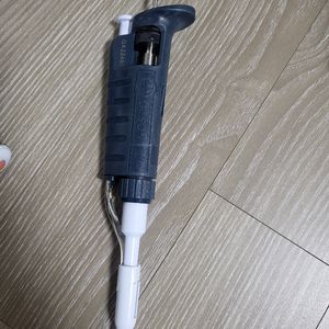 길슨 피펫 10p