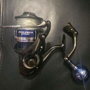 솔티가 15 5000h 릴