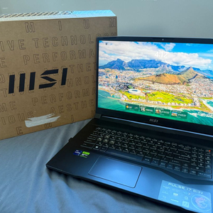 MSI pulse 17 b13v 게이밍노트북