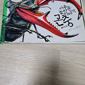 아동도서 (아주놀라운 이야기 곤충)
