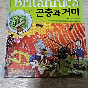 곤충과 거미