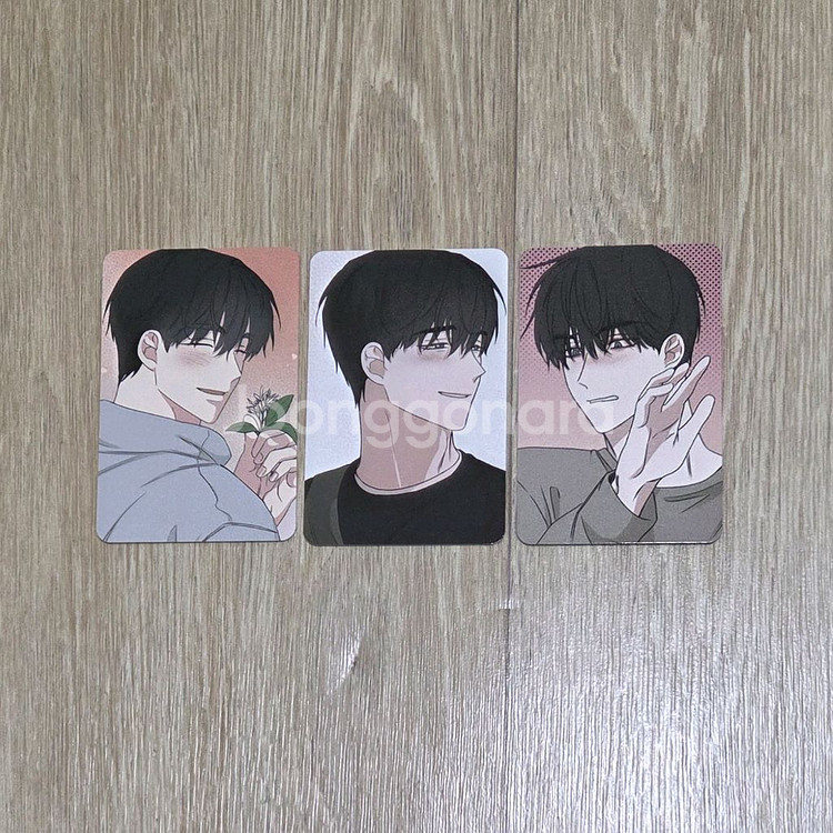 물가의 밤 팝업 컬렉션 포카 컬렉션 포토카드 물가의밤--0