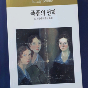 폭풍의 언덕