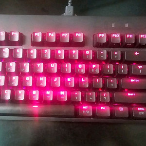 로지텍 PRO TKL 키보드