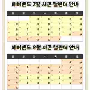 에버랜드 종일권