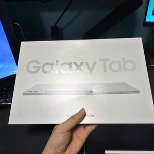 갤럭시 탭 S10 울트라 WiFi 512gb