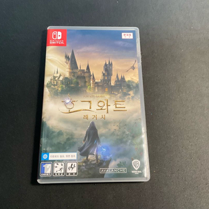 닌텐도 스위치 호그와트 레거시