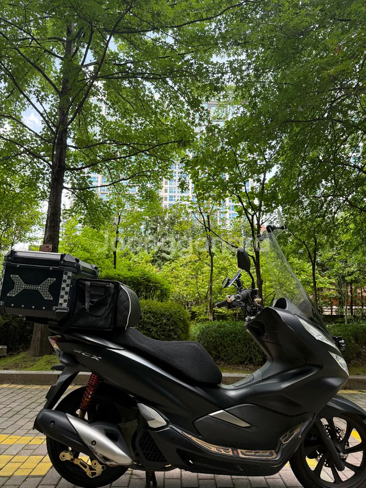 pcx125 김광태 님매물--3