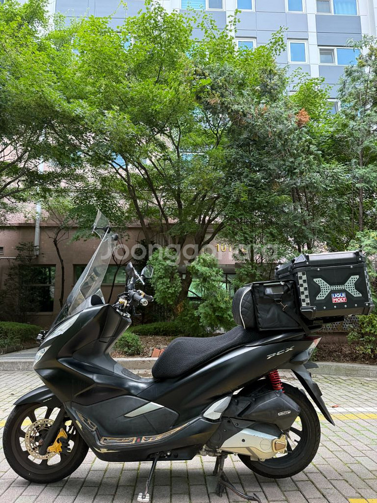 pcx125 김광태 님매물--5