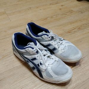 (상태 최상급) 아식스 로테리브레 FL5 270