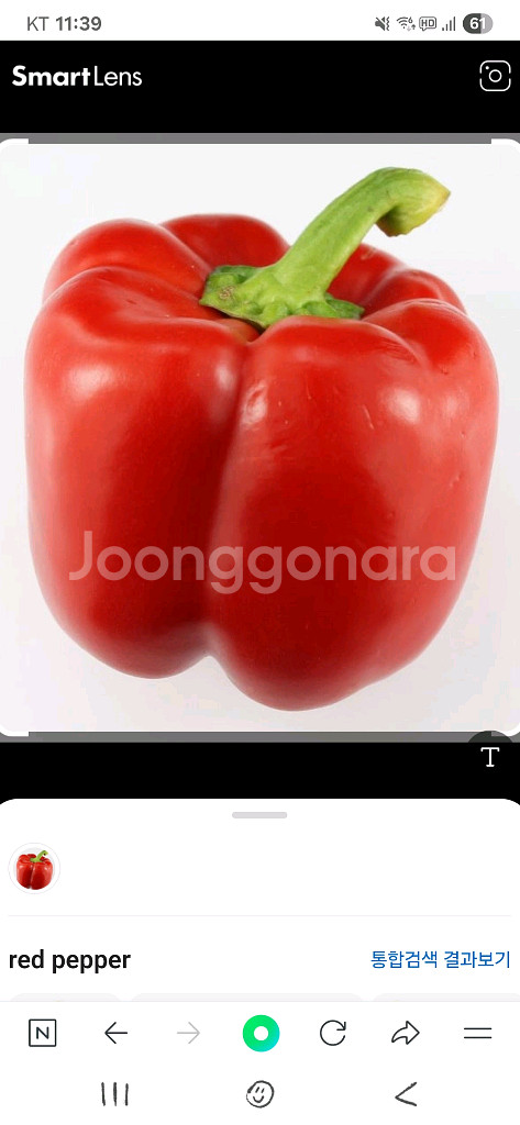 피망 쿠폰 팝니다.--0