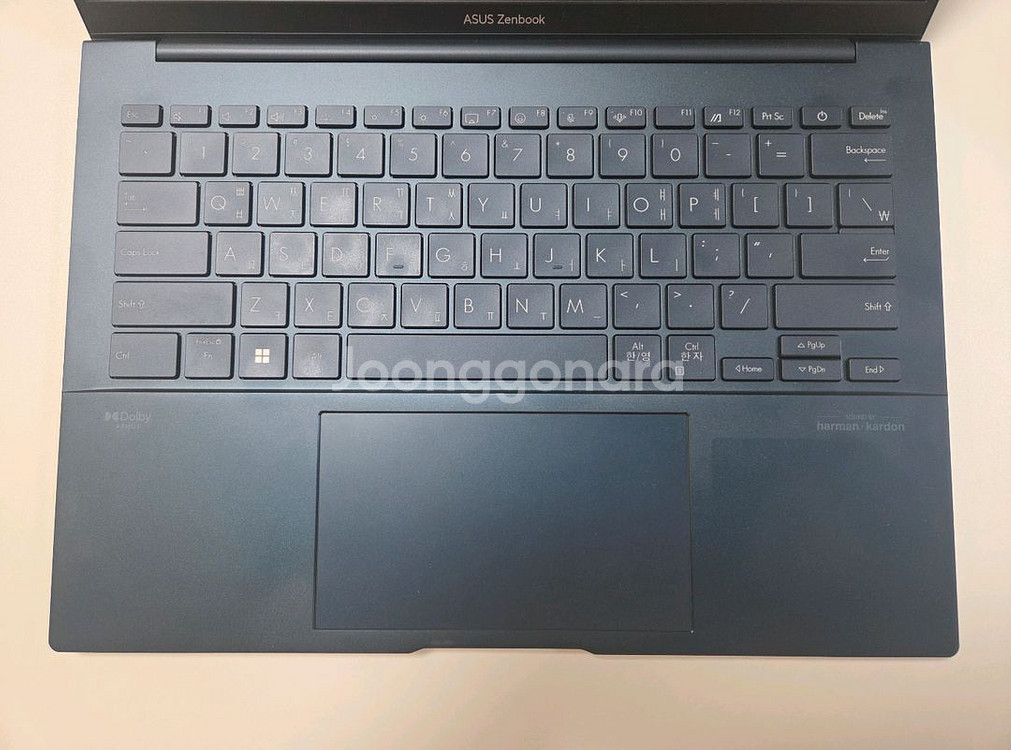 ASUS 젠북 2024 Zenbook 14 OLED--1