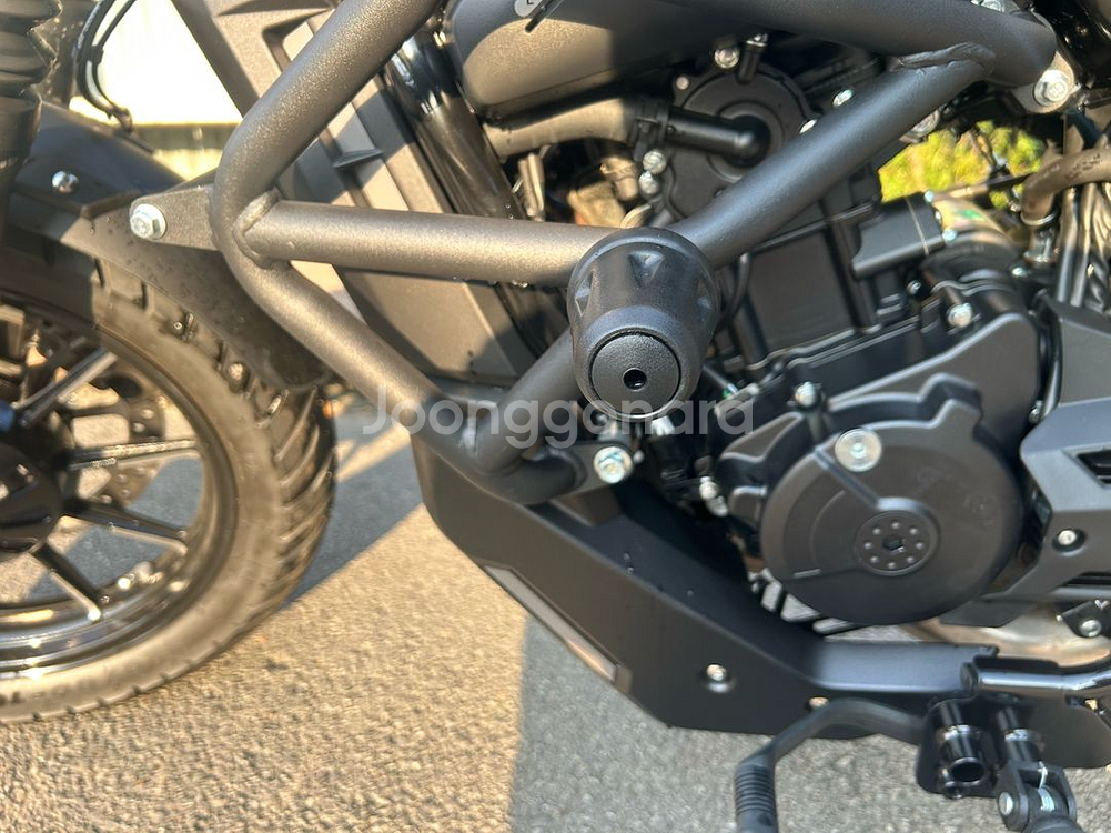 존테스 125c 울프--2