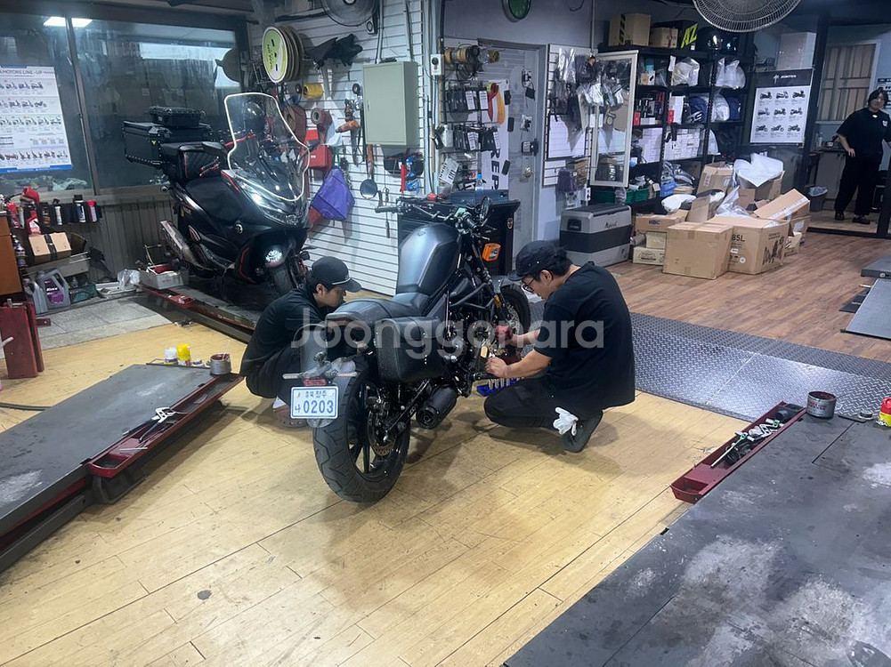 존테스 125c 울프--8