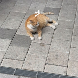 김영패스 이과 공유구해요