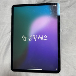 아이패드 프로 11 3세대 m1 셀룰러 128gb