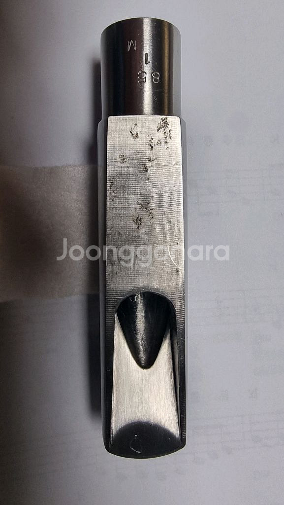 버그라센 덕빌 알토 마우스피스--5