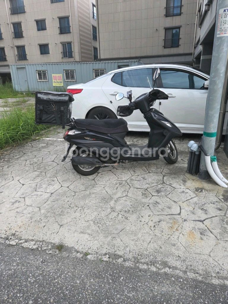 VF100 19년식--0