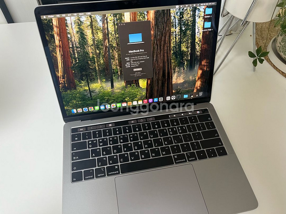 맥북프로 13형 & iPad에어 4 셀룰러 64기가--1