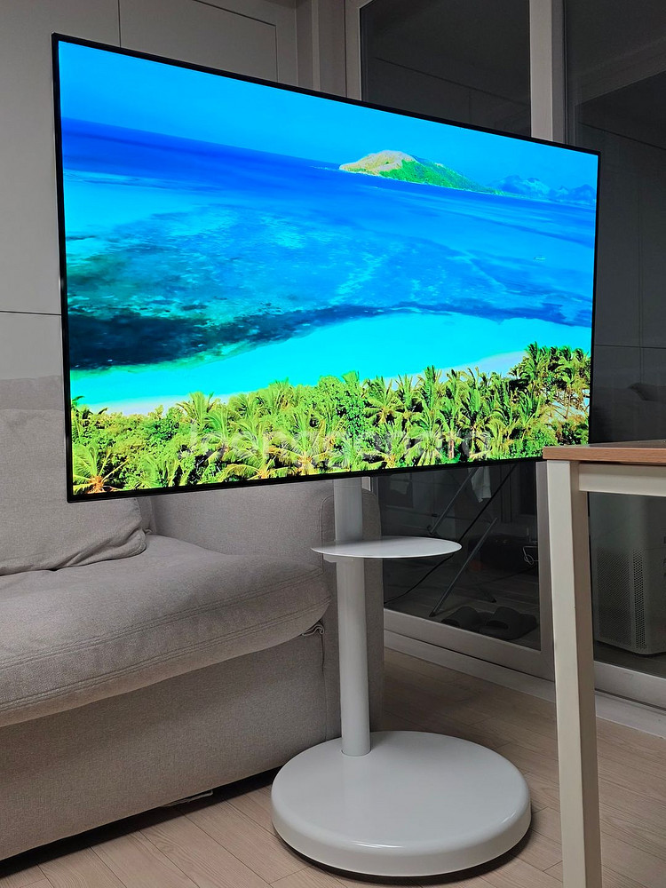 LG 55인치 OLED TV + 삼탠바이미 거치대--0