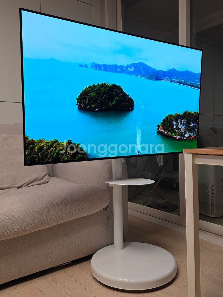 LG 55인치 OLED TV + 삼탠바이미 거치대--2