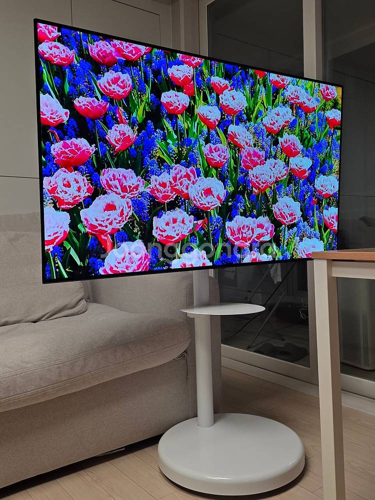 LG 55인치 OLED TV + 삼탠바이미 거치대--4