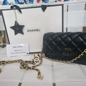 샤넬 vipgift로고백