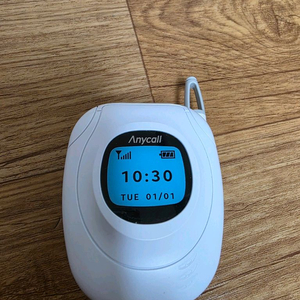 버즈FE