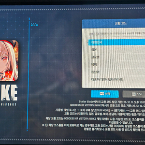 스텔라 블레이드 니케 스킨 코드 팝니다.