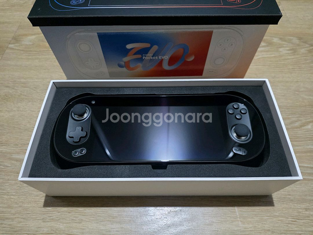 아야네오 포켓 에보 12GB 256GB 블랙--0