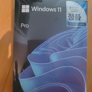 [미개봉/무배]윈도우11 프로 FPP, USB pro