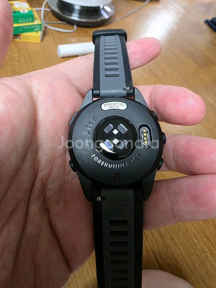 가민 포러너 165 43mm--0