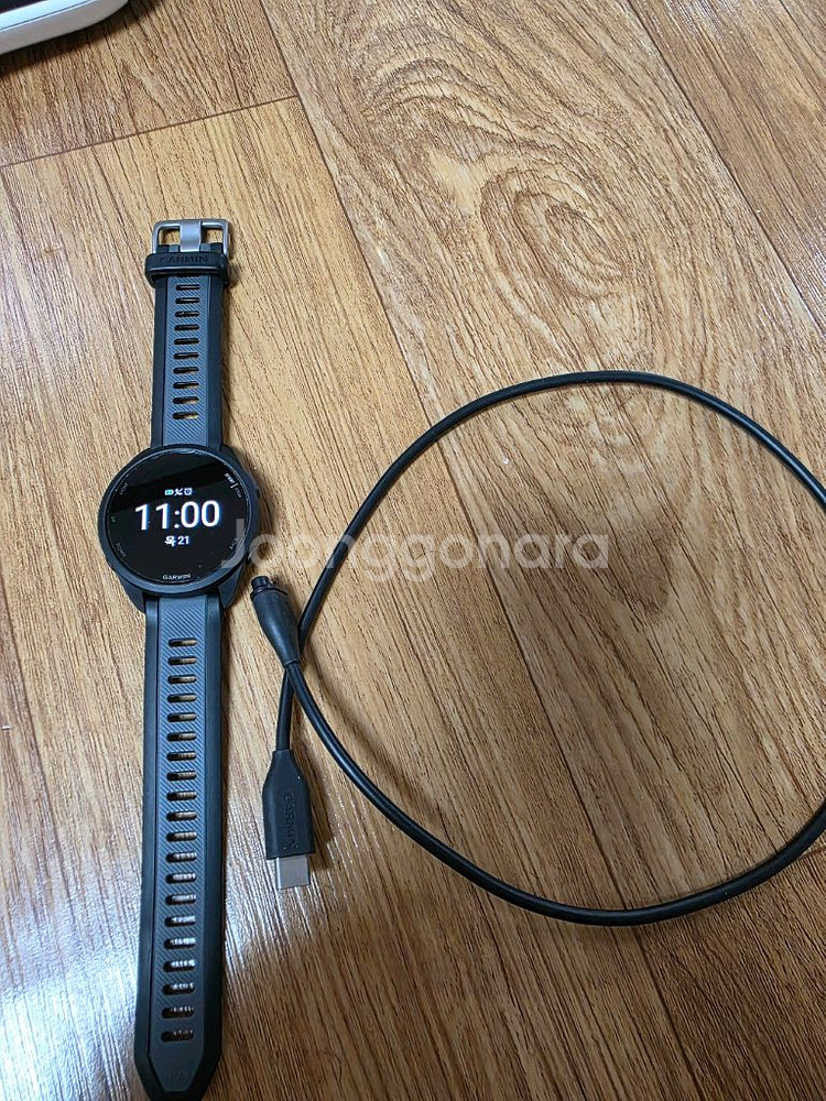 가민 포러너 165 43mm--2