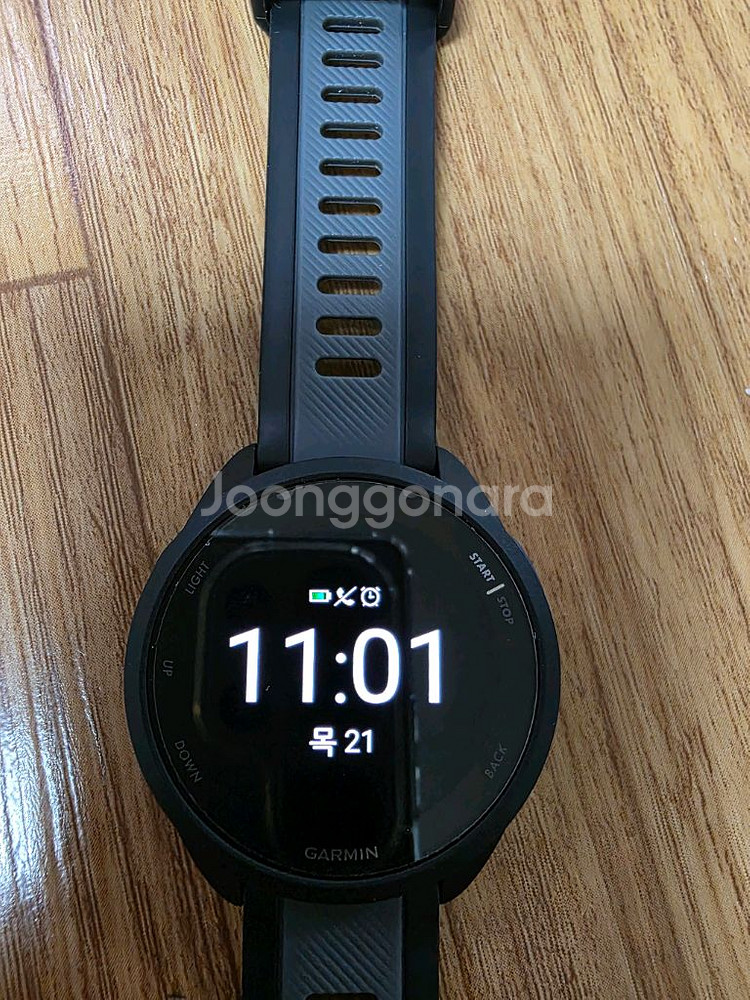 가민 포러너 165 43mm--1