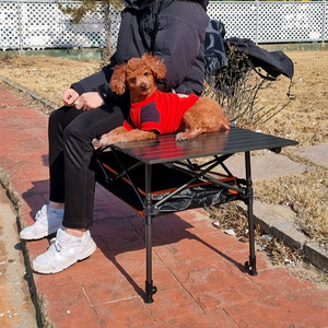캠핑테이블 높이조절가능