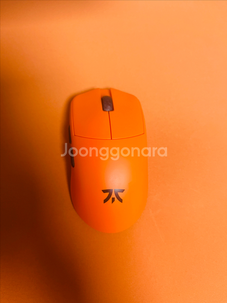 람주 프나틱 마야x 8k 프마야--0