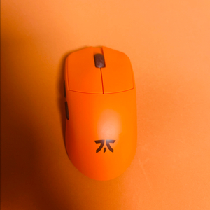 람주 프나틱 마야x 8k 프마야