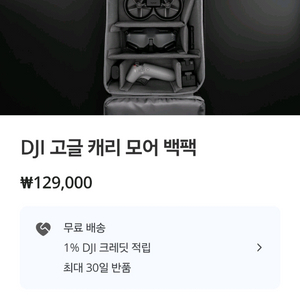 DJI 고글 캐리모어 백팩 (드론 가방)