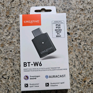 크리에이티브 BT-W6